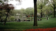 New York má uprostřed Manhattanu jedinečný park