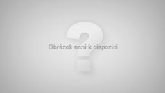 Rakev s ostatky Slobodana Miloševiče na bělehradském letišti