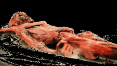 Ötzi