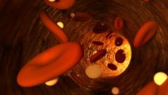 Červené krvinky s nanočásticemi