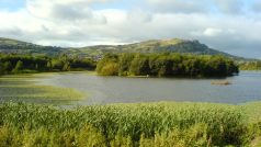 Okolí Cavehills u Belfastu, Severní Irsko