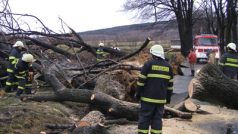 hasiči odstraňují spadlé stromy