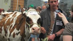 Demonstrace zemědělců v Bruselu