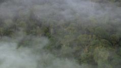 Home - Mlha v Amazonii, Brazílie
