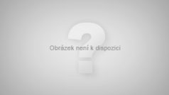 Předseda Norského Nobelova výboru Thorbjörn Jagland s obrázkem prezidenta USA Barcaka Obamy, který získal Nobelovu cenu za mír