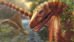 Asilisaurus kongwe (v pozadí Hypselorhachis)
