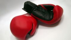 Boxerské rukavice (ilustr. obr.)