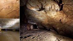 V jeskyni Coliboaia se podařilo identifikovat malbu zubra, koně, dvou medvědích hlav a dvou hlav srstnatých nosorožců.
