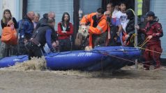 Záchranáři na Liberecku pomáhají i zvířatům