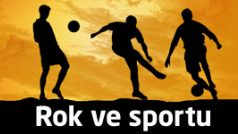 Rok ve sportu