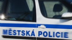 Městská policie (ilustr. obr.)