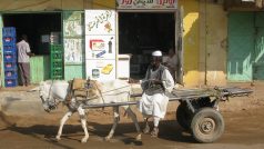 39. Povoz v Shendi (osel je v Súdánu častým pomocníkem při dopravě)
