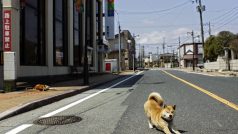 Opuštěná ulice ve městě Futaba nedaleko Fukušimy
