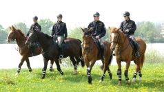 Jízdní policie na koních
