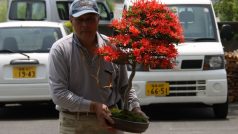 Japonsko, evakuační centrum. Lidé přinášejí dary