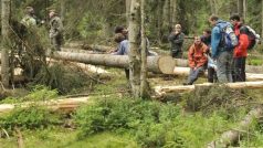 Ekologičtí aktivisté blokují lokalitu Ptačí potok u šumavské Modravy, aby zabránili kácení kůrovcem napadených stromů.