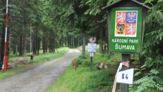 Národní park Šumava (ilustrační foto)