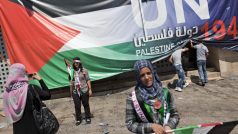 Palestinci, OSN, žádost