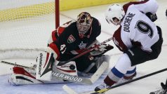 Čeští hokejisté byli v zápasech NHL znovu vidět. Ilustrační foto