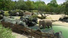 Pavilon slonů - vizualizace