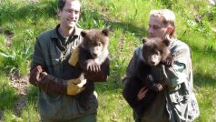 Mláďata medvědů kamčatských z brněnské zoo s chovateli Milošem Waltrem a Milanem Šebestou