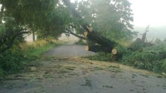 Popadané stromy na silnici ve Svinarech nedaleko Hradce Králové