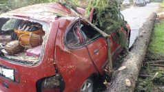 U Staré Paky na Jičínsku utrpěli zranění dva lidé, když při bouřce spadl strom na jejich vůz