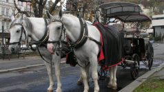Karlovy Vary si mohou návštěvníci prohlédnout z kočáru taženého koňmi