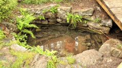 studánka – pramen Vltavy, Šumava