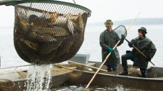 Třeboňští rybáři zahájili výlov největšího českého rybníka Rožmberka