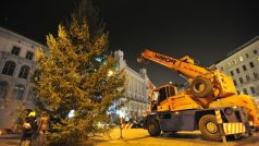 Na náměstí Svobody v Brně byl vztyčen vánoční strom. Zdobit se bude až o několik dní později.jpg