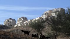 Izraelská osada na palestinském území