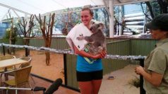 Petra Kvitová si v Brisbane pro štěstí pochovala medvídka koalu