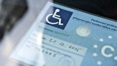 Invalida, vozíčkář, tělesně postižený (ilustrační foto)