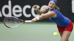 Petra Kvitová ve Fed Cupu