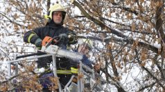 Hasiči museli v Olomouci ořezávat polámané větve stromů