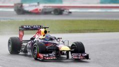 Trojnásobný mistr světa Sebastian Vettel se dočkal v Malajsii prvního triumfu v této sezóně