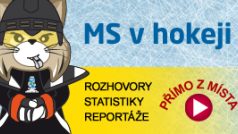MS v ledním hokeji 2013 - promo