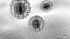 Virus chřipky (ilustrační foto)
