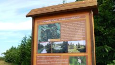 Prvním obnoveným rašeliništěm byl Cínovecký hřbet
