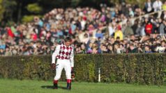 Na pardubickém závodišti se 13. října konal 123. ročník překážkového dostihu Velká pardubická. Na snímku žokej Josef Váňa zklamaně kráčí cílovou rovinou po pádu na poslední překážce.