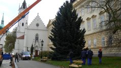 Vánoční strom už je na svém místě na Zámeckém náměstí