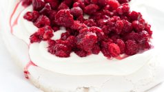 Dort Pavlova