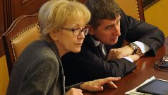 Poslanecká sněmovna 12.2.2014, Andrej Babiš (vpravo) a Helena Válková