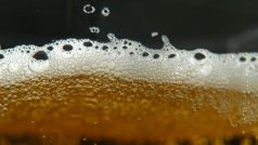 Pivo