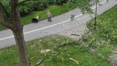 Silný poryv větru ulomil několik velkých větví stromů v Bezručových sadech v Olomouci