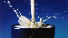 Finská mlékárna Valio pracovala až do minulého měsíce na dvě směny, aby uspokojila ruskou poptávku po sýrech, máslu a dalších mléčných výrobcích