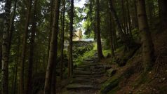 Cesta k lesnímu hrádku Aichelburg