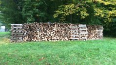 Samovýroba dřeva může ušetřit i desetitisíce korun