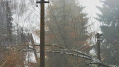 Na jihozápadě Jihočeského kraje zůstávají stále stovky domácností bez proudu kvůli poškozenému vedení. Snímek je z Hořic na Šumavě ze 4. prosince